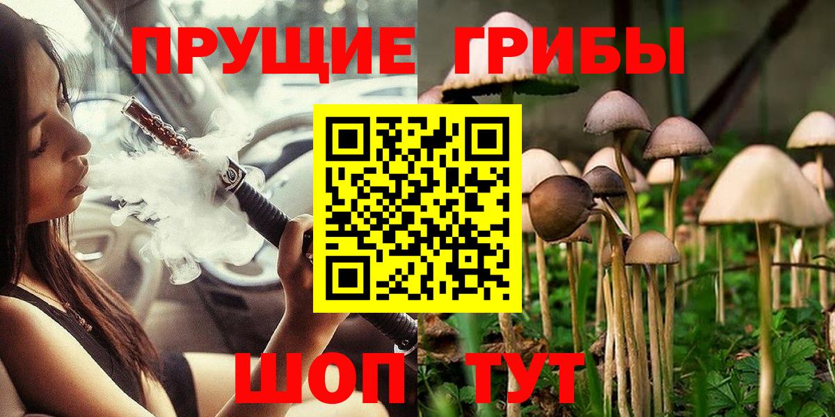 Галлюциногенные грибы прущие грибы Архангельск